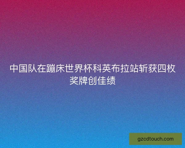 中国队在蹦床世界杯科英布拉站斩获四枚奖牌创佳绩